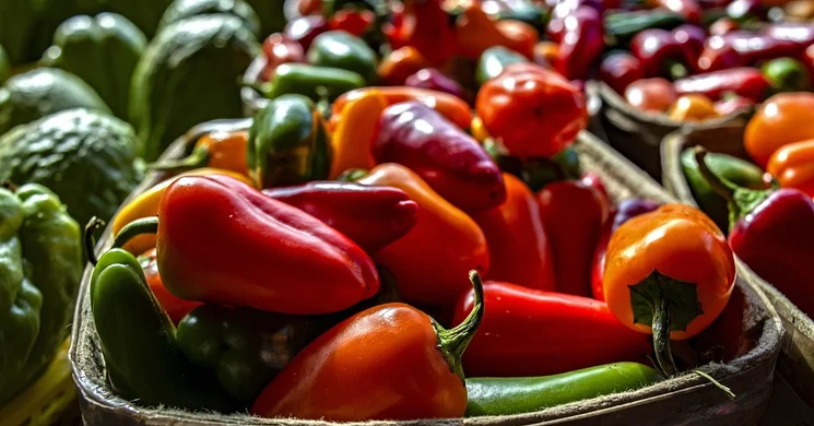 Termelői és kézműves vásár Zalaegerszeg 2025