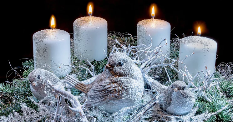 Advent a Natúrparkban  2024 Kőszeg