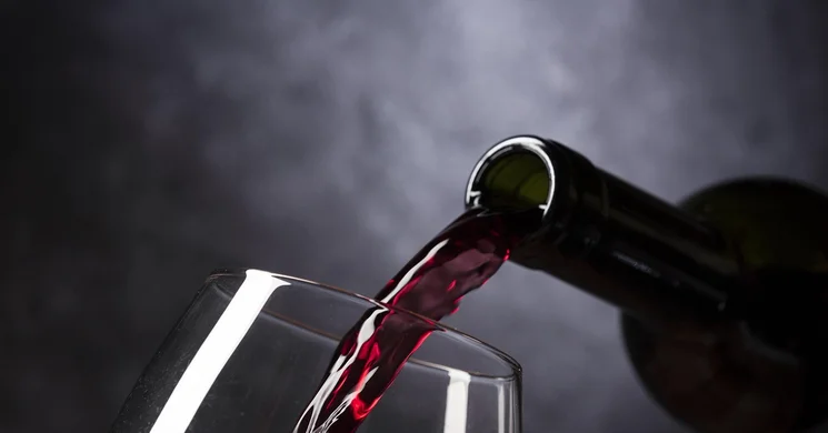 Gasztro Mustra 2025 Zalaegerszeg. MUSTRA Wine & Chill