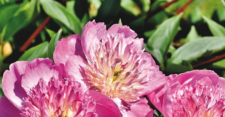 Pünkösdi wellness Zalakaroson, akár fürdőbelépővel kedvező árakon a Forrás Hotelben