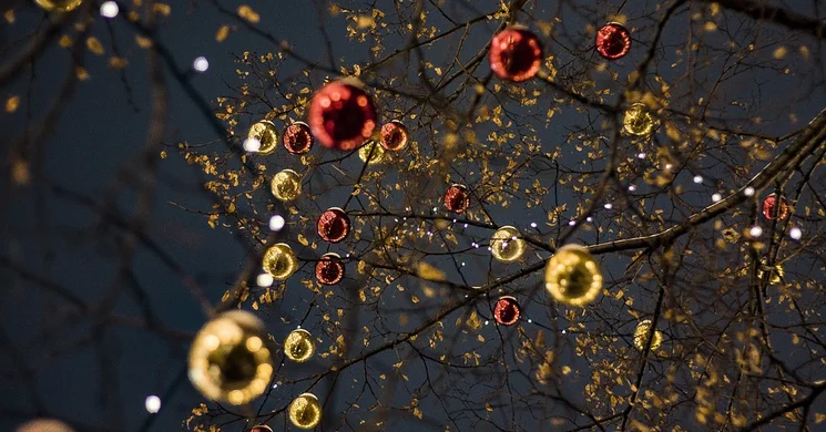 Karácsonyház Gödöllő 2024