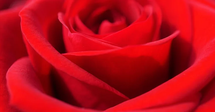 Nőnapi programok 2026. Események, rendezvények, online jegyvásárlás