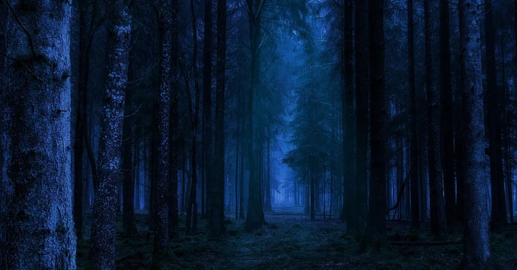 Bajnokok Éjszakája 2025. Bátrak Éjszakája a Kékestetőn