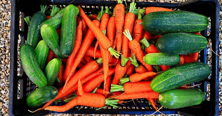 Kosárház Termelői piac 2025 Sopron