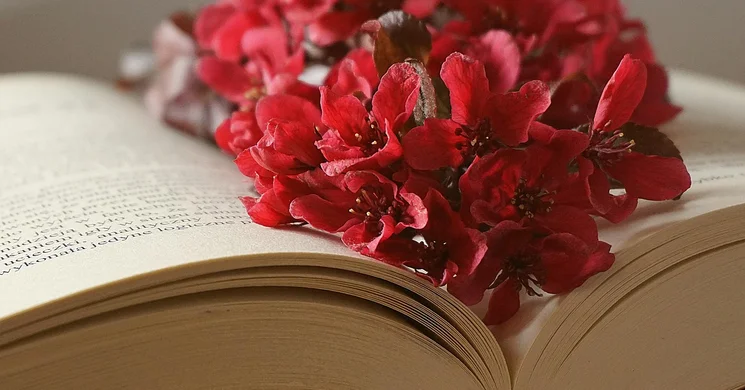 Az anyanyelv nemzetközi napja