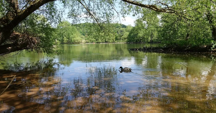 Nyéki-Holt-Duna tanösvény