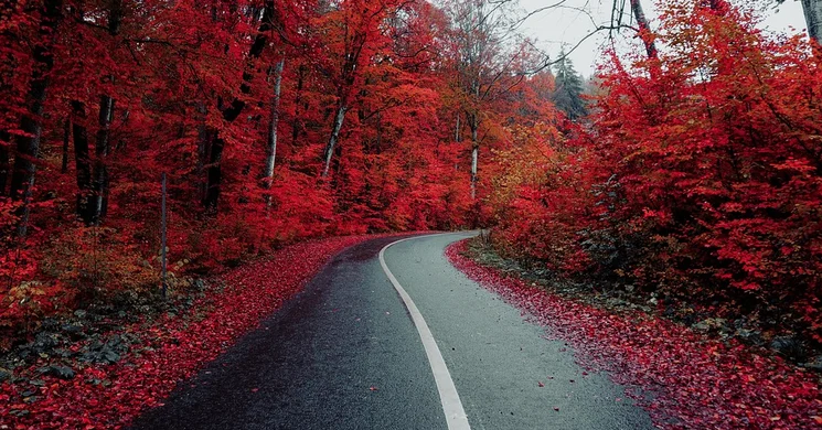 Őszi programok 2025