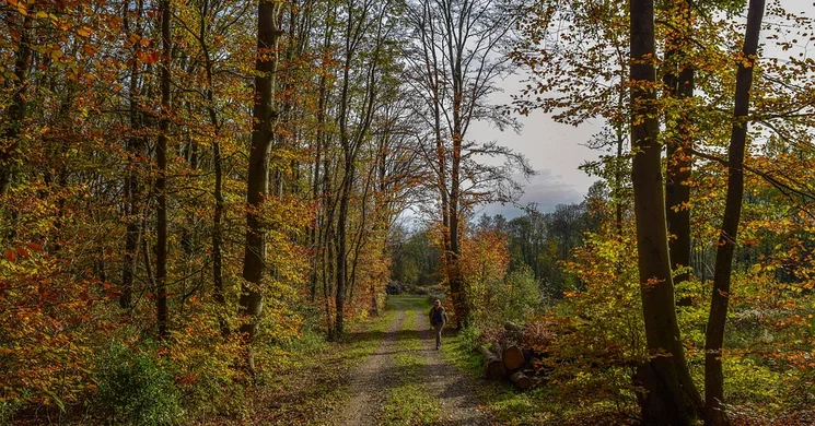 Gulya-dombi tanösvény Veszprém