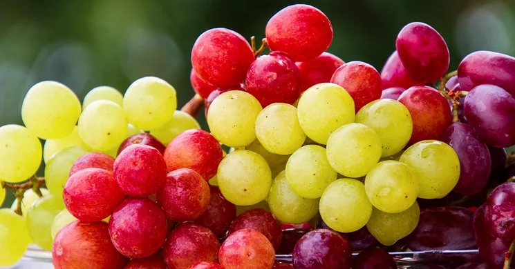 Sári Szüret 2025 Dabas. Sári Szüreti Felvonulás és Bál