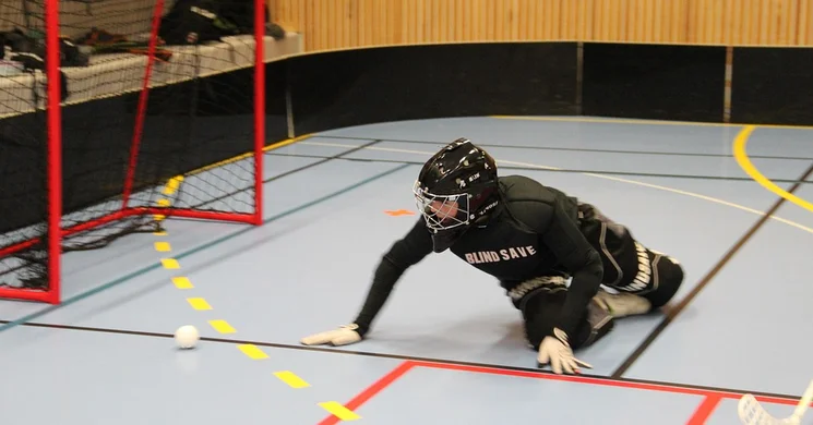 Phoenix Fireball Sport Egyesület Budapest