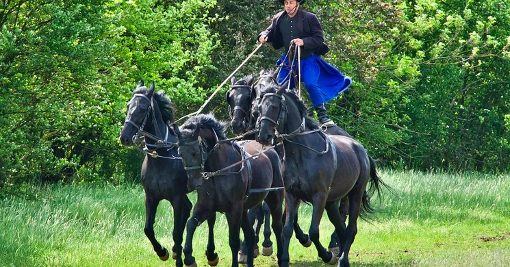 Kárpát-medencei Lovas Kulturális Találkozó