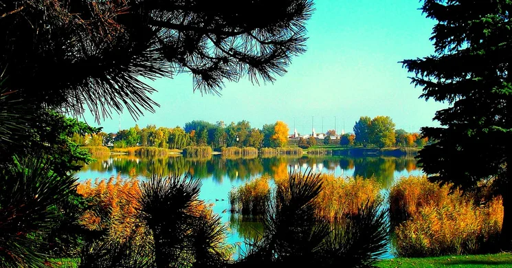 November 6. Nemzetközi nap