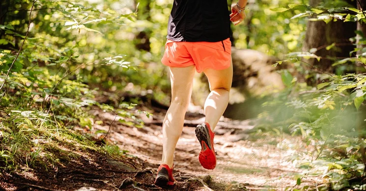 Vértes Terep Maraton 2026