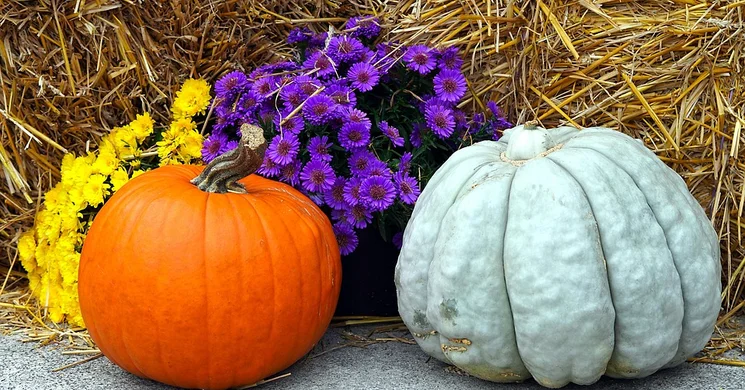 Kapolcs Halloween 2025