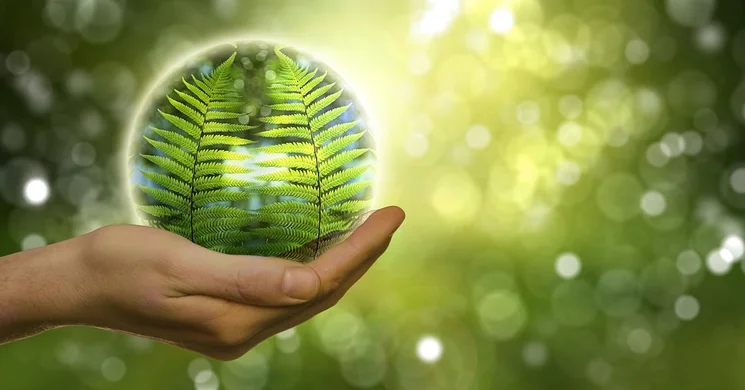 Környezetvédelmi Találkozó 2025