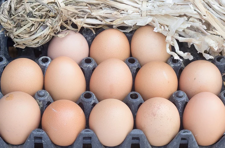 Baromfi Piac Kecskemét 2026