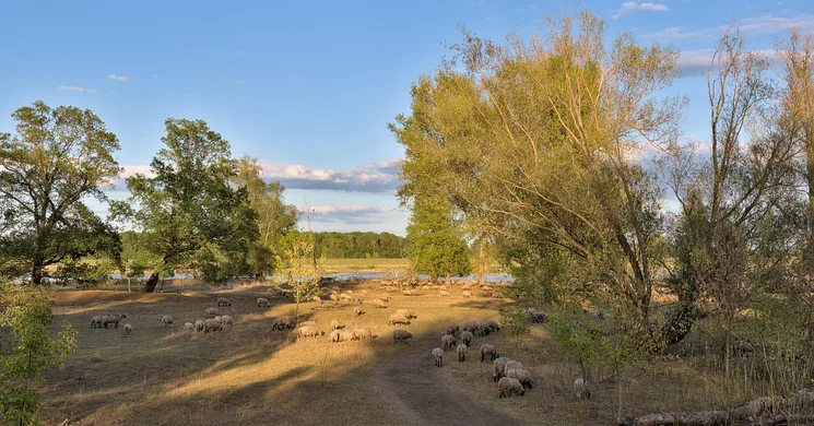A jászkun önmegváltás emléknapja