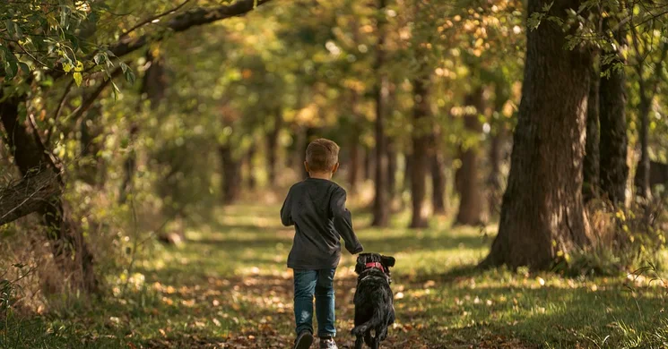 Terepfutás verseny 2025
