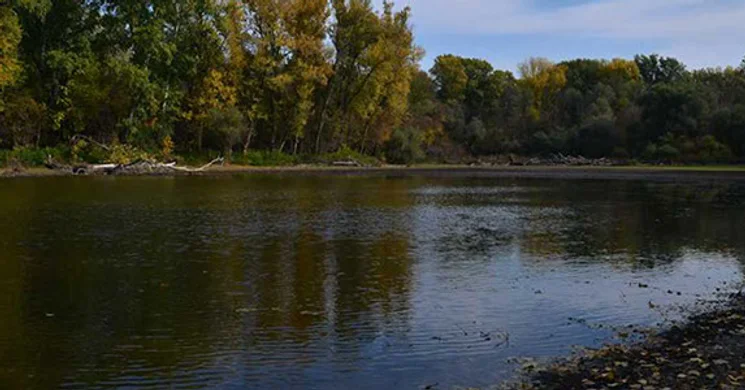 DALERD Délalföldi Erdészeti Zrt. Szeged