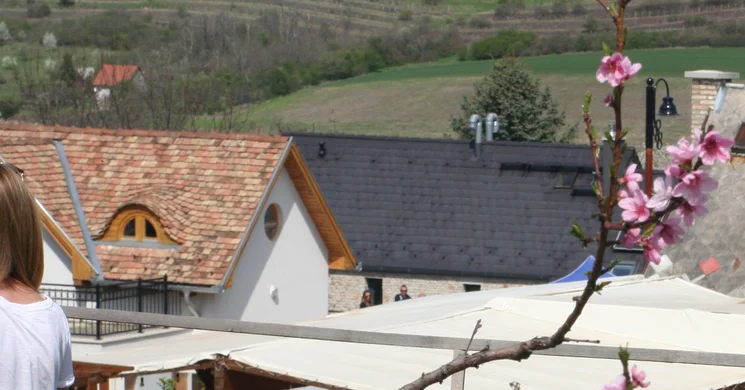 Debreczeni-Ferenczi Családi Borászat