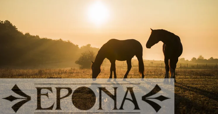 Epona Spanyol Lovasiskola