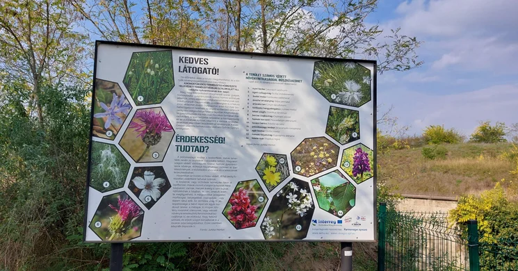 Monostori Erőd tanösvény látogatás Komáromban