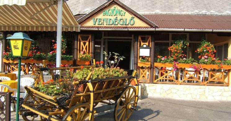 Fagyöngy Vendéglő Miskolc