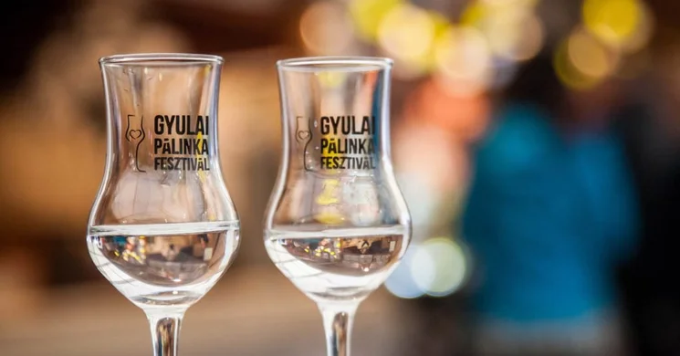 Gyulai Pálinkafesztivál csomagajánlat a Wellness Hotel Gyula szállodában