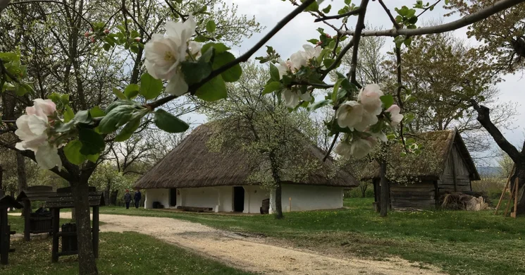 Oszkói Pincetájház