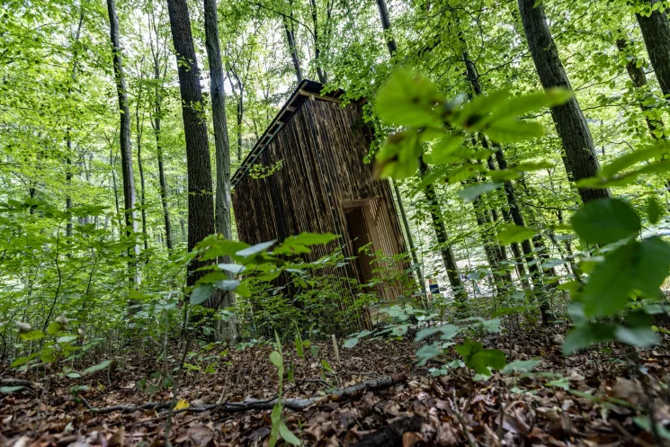 Olvasókabin Ajkán, találkozás és feltöltődés a természetben az irodalommal