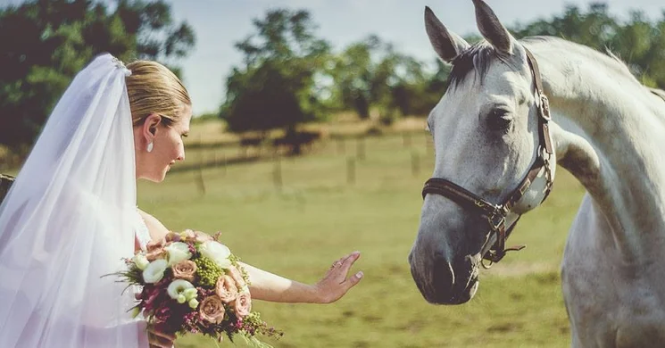 Lovarda esküvő a Hétkúti Lovasparkban és wellness szállodában Móron