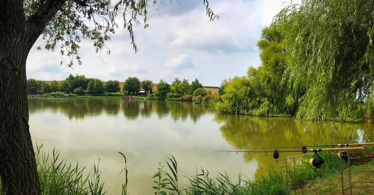 Hidegvölgyi Horgásztó Siófok