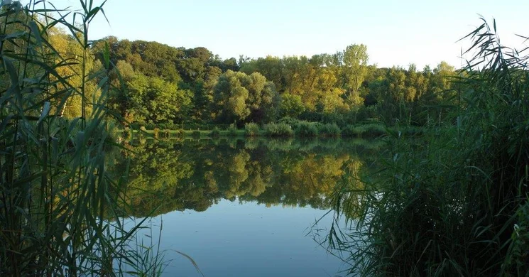 Csónakázó-tó Vasvár