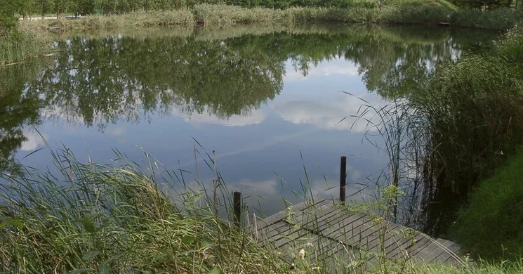 Jonathermál Horgásztó Kiskunmajsa