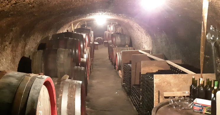 Kaló Imre Pincészete Szomolya