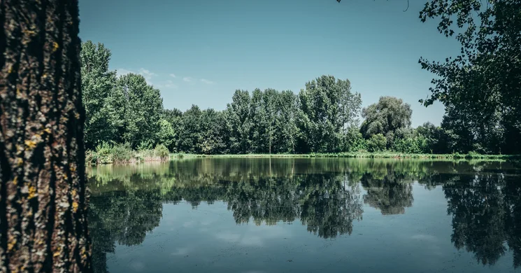 Kastély-park tavak Öreglak