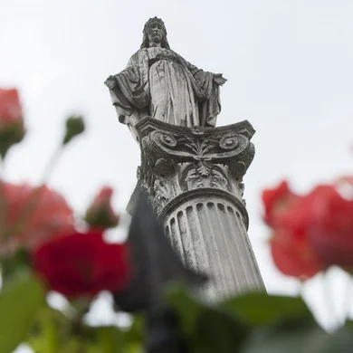 Kecskeméti Rózsakert