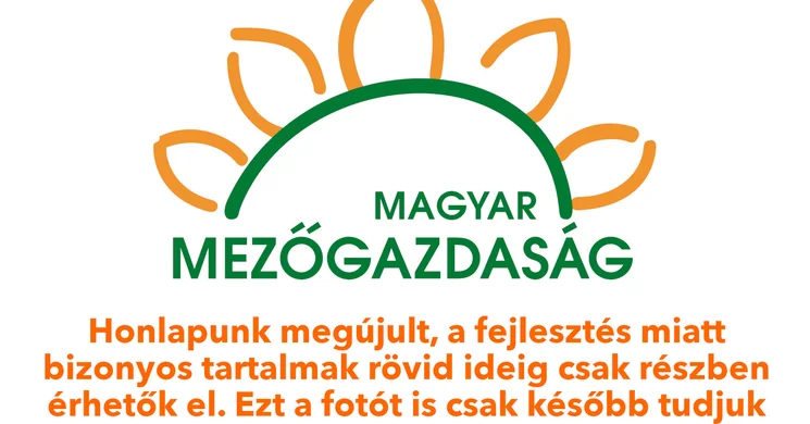 Hármashegyi-kilátó Debrecen