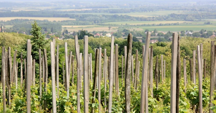 Kis - hegyi - kilátó Becsehely