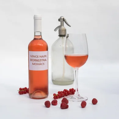 Vince-nap 2025 Mohács. Vince-napi Bormustra