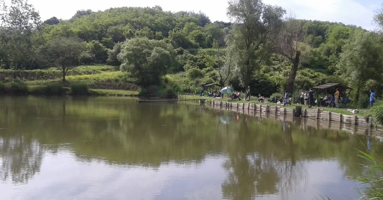 Móri Látóhegyi tavak