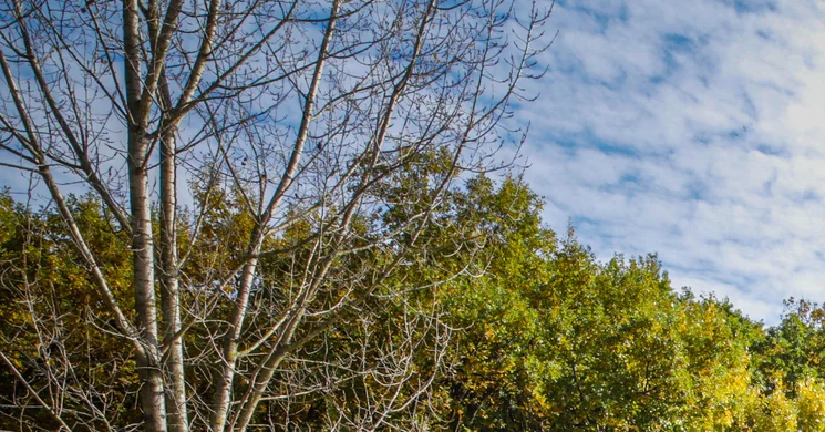 Nagyhegyes Kiserdei Szabadidőpark