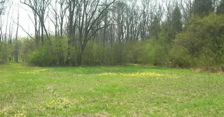 Nagycserei Kőrises arborétum Debrecen