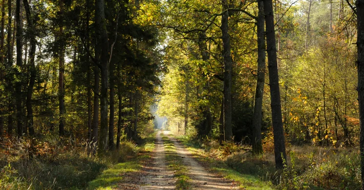 Őrségi Nemzeti Park programok 2026