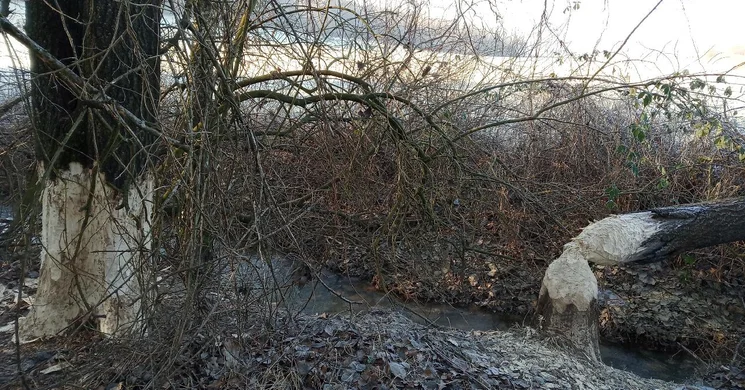 Fürge cselle tanösvény, ökotúra az Őrségi Nemzeti Park területén