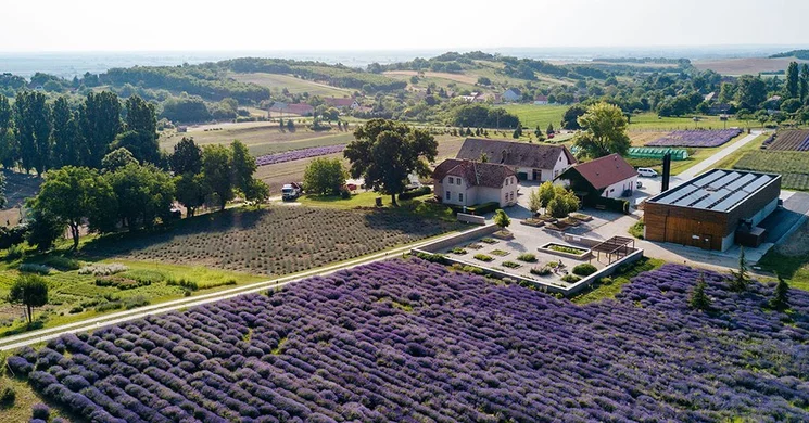 Pannonhalmi Apátság arborétum és gyógynövénykert látogatás