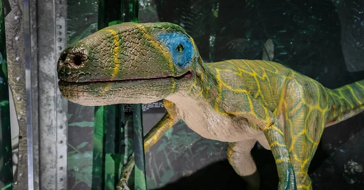 Múzeumpedagógiai foglalkozások Miskolcon a Herman Ottó Múzeumban és kiállítóhelyein