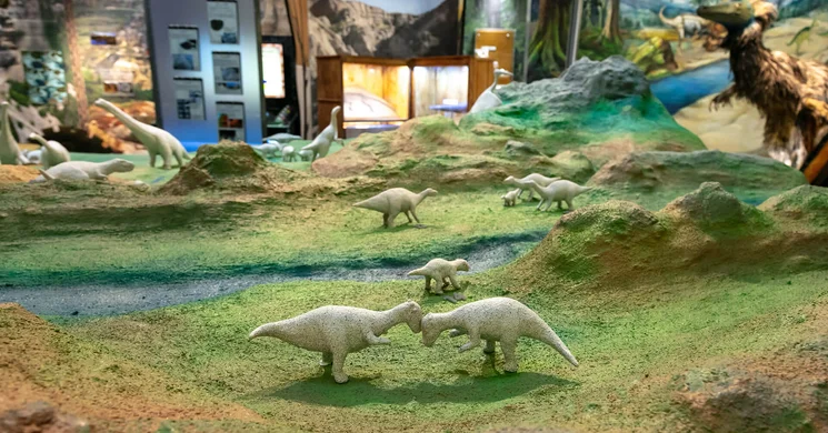 Ingyenes múzeumlátogatás a nemzeti ünnepeken Miskolcon a Herman Ottó Múzeumban és kiállítóhelyein