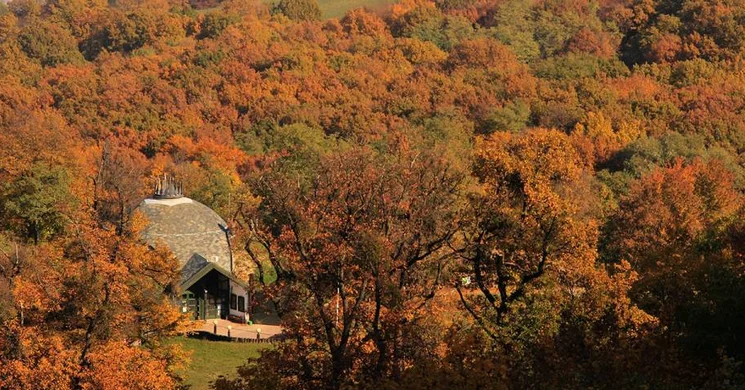 Madas László Erdészeti Erdei Iskola Visegrád