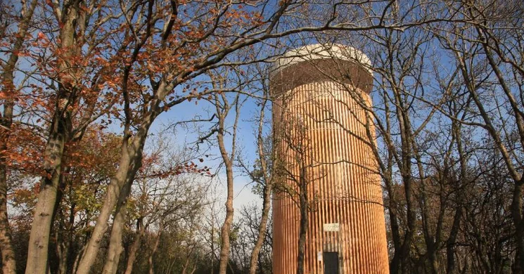 Pilisszentkereszti kirándulás a Pilis-tetőn álló Boldog Özséb-kilátóhoz